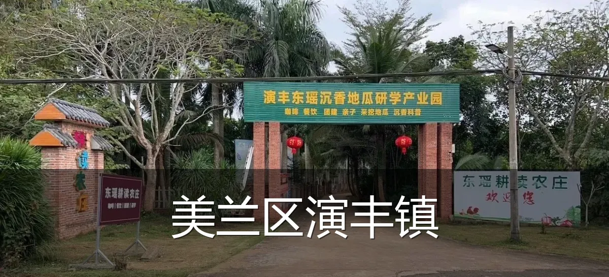 美兰区演丰镇