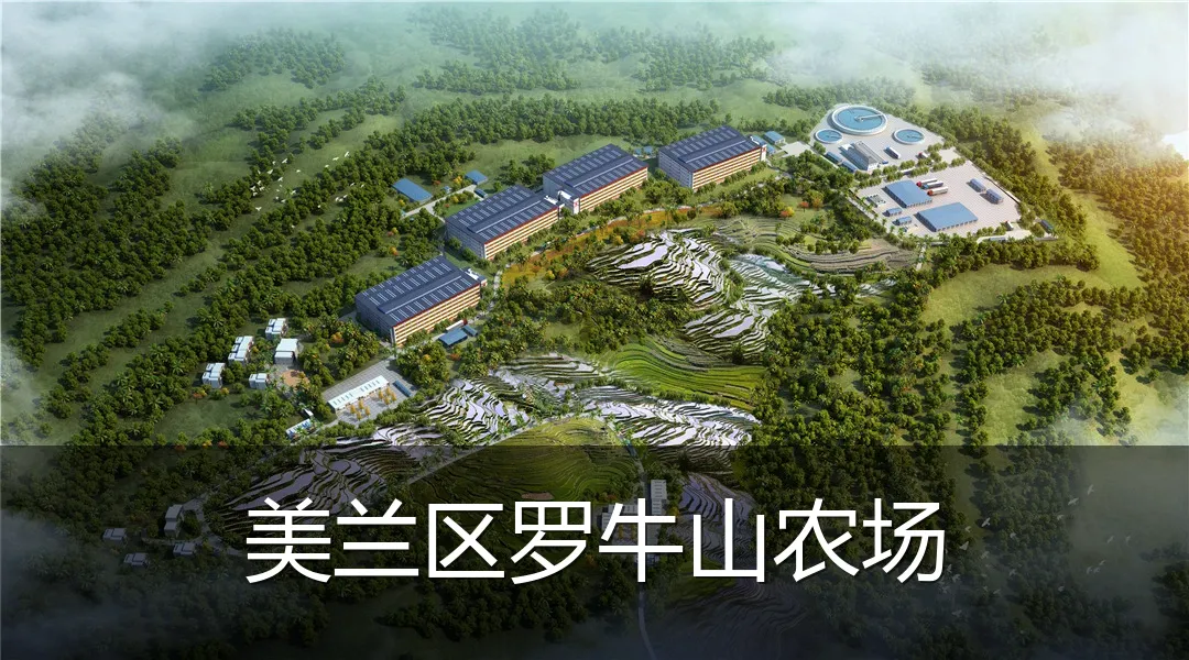美兰区罗牛山农场