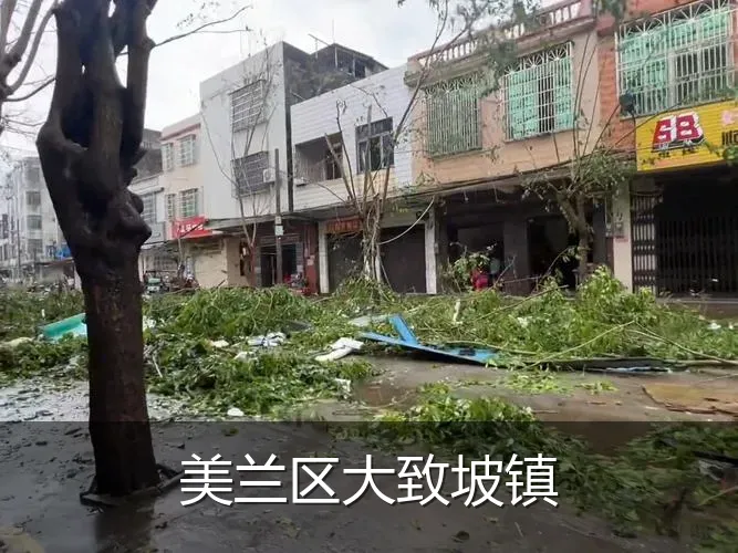 美兰区大致坡镇